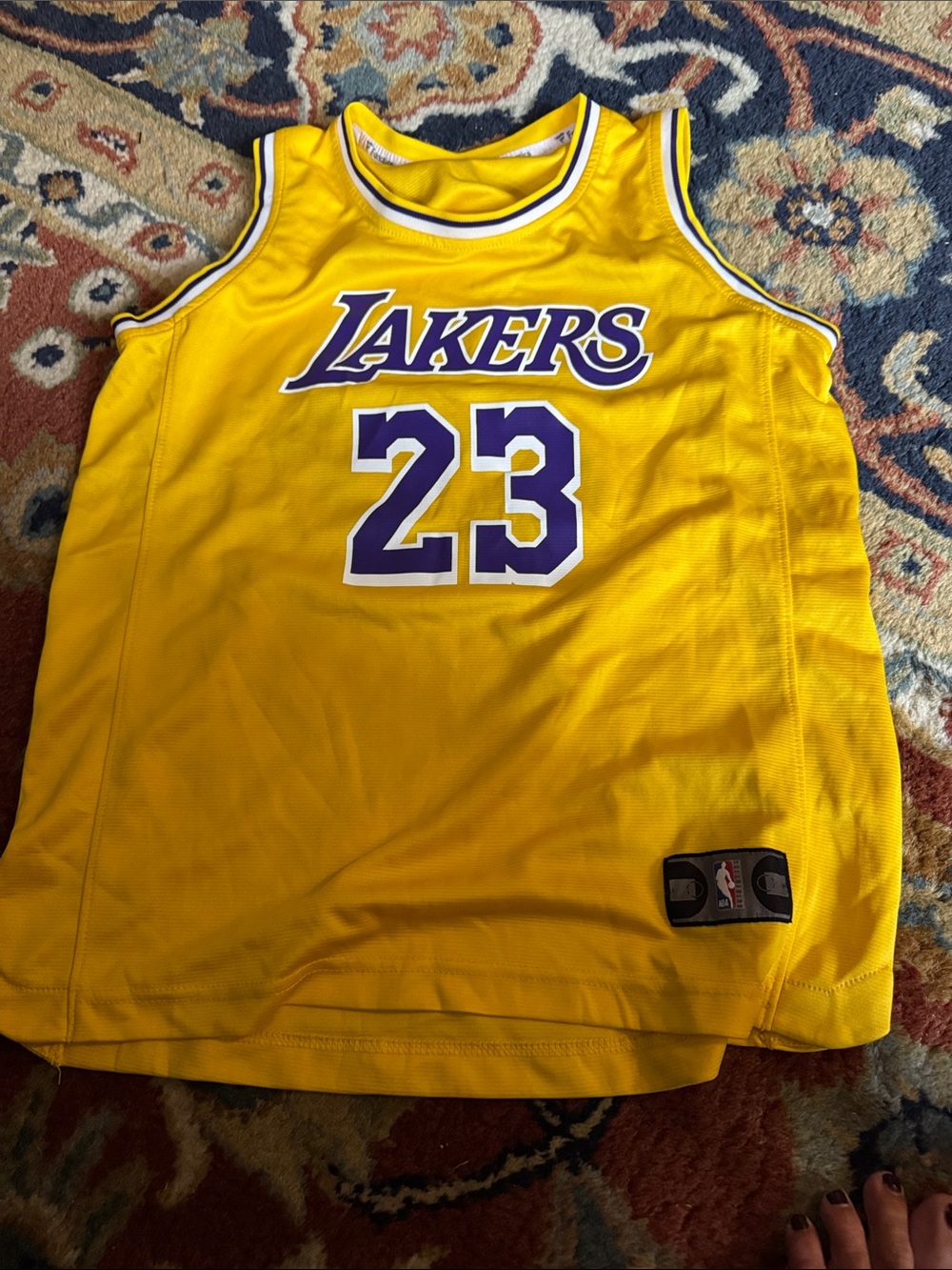 NBA Los Angeles Lakers Yellow and Purple #23 Jersey